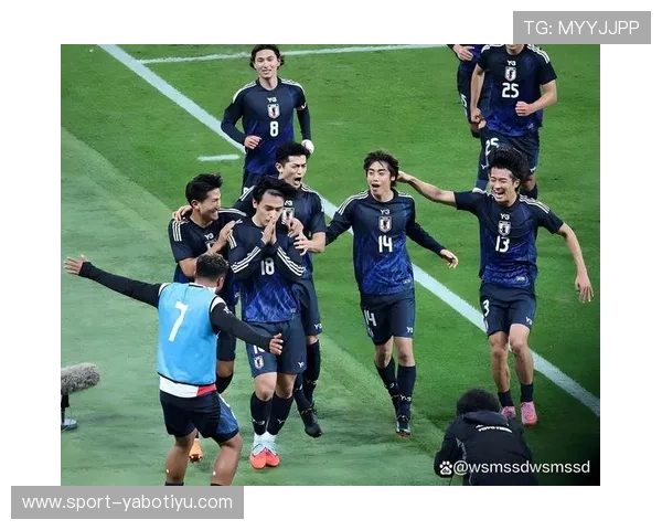 2026年世界杯日本与瑞典队伍国旗在赛场上的使用细节与视觉效果解析